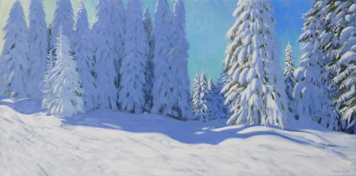 Frischer Schnee, Morzine, Frankreich, 2015